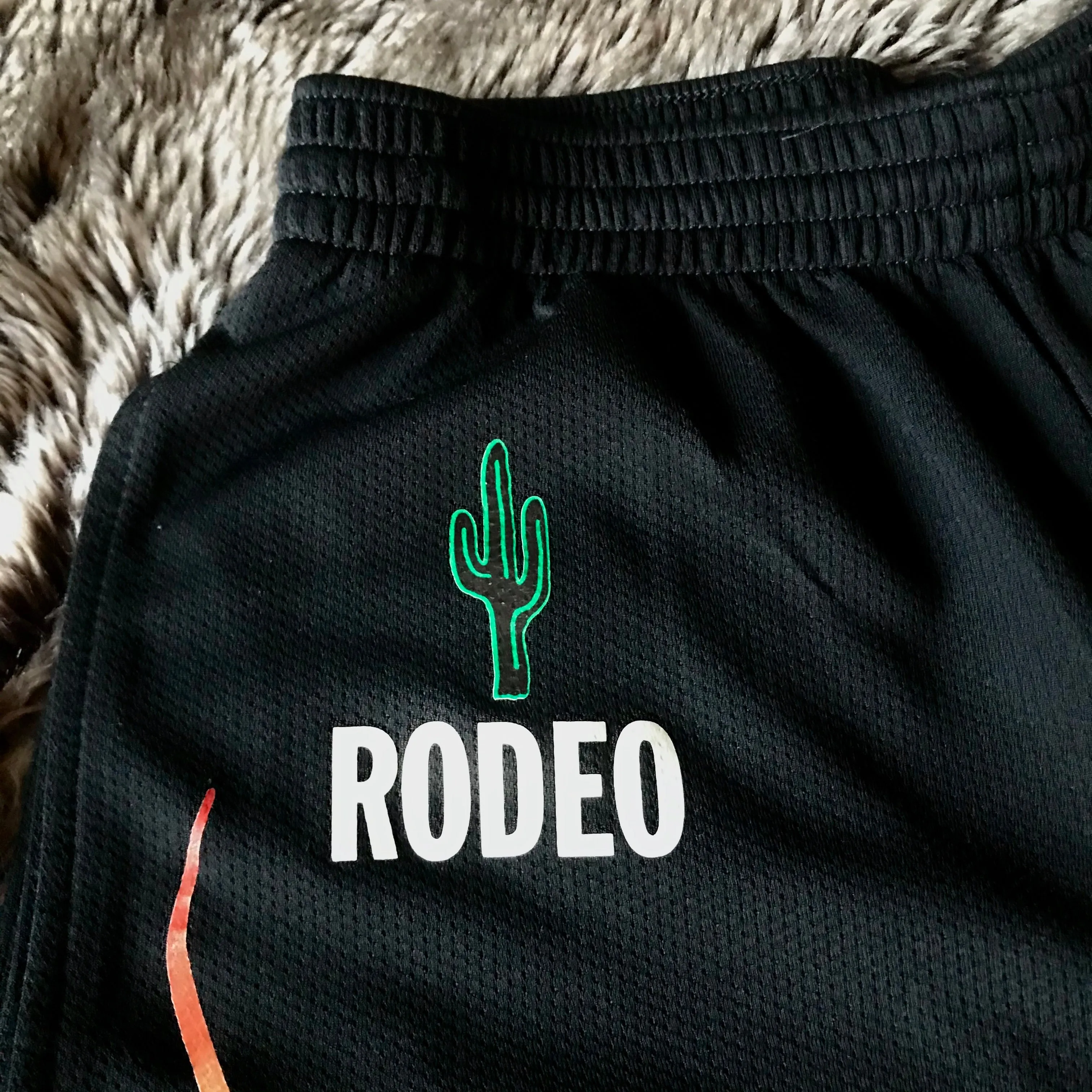 Rodeo 2016 Album Shorts