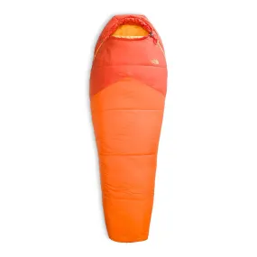 The North Face Wasatch Pro 40 Reg Sleeping Bag